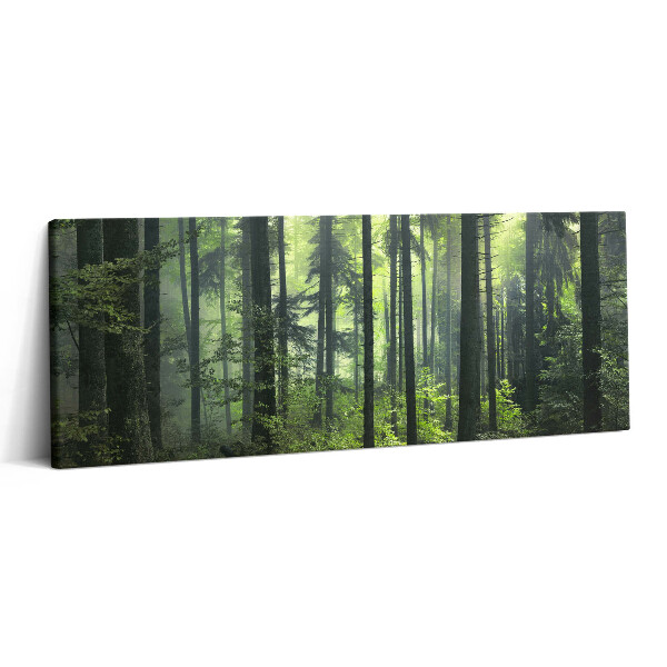 Canvas kép 125x50 Fákból és erdei növényzetből álló tájkép