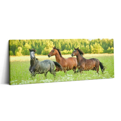 Canvas kép 125x50 Ménesek a réten