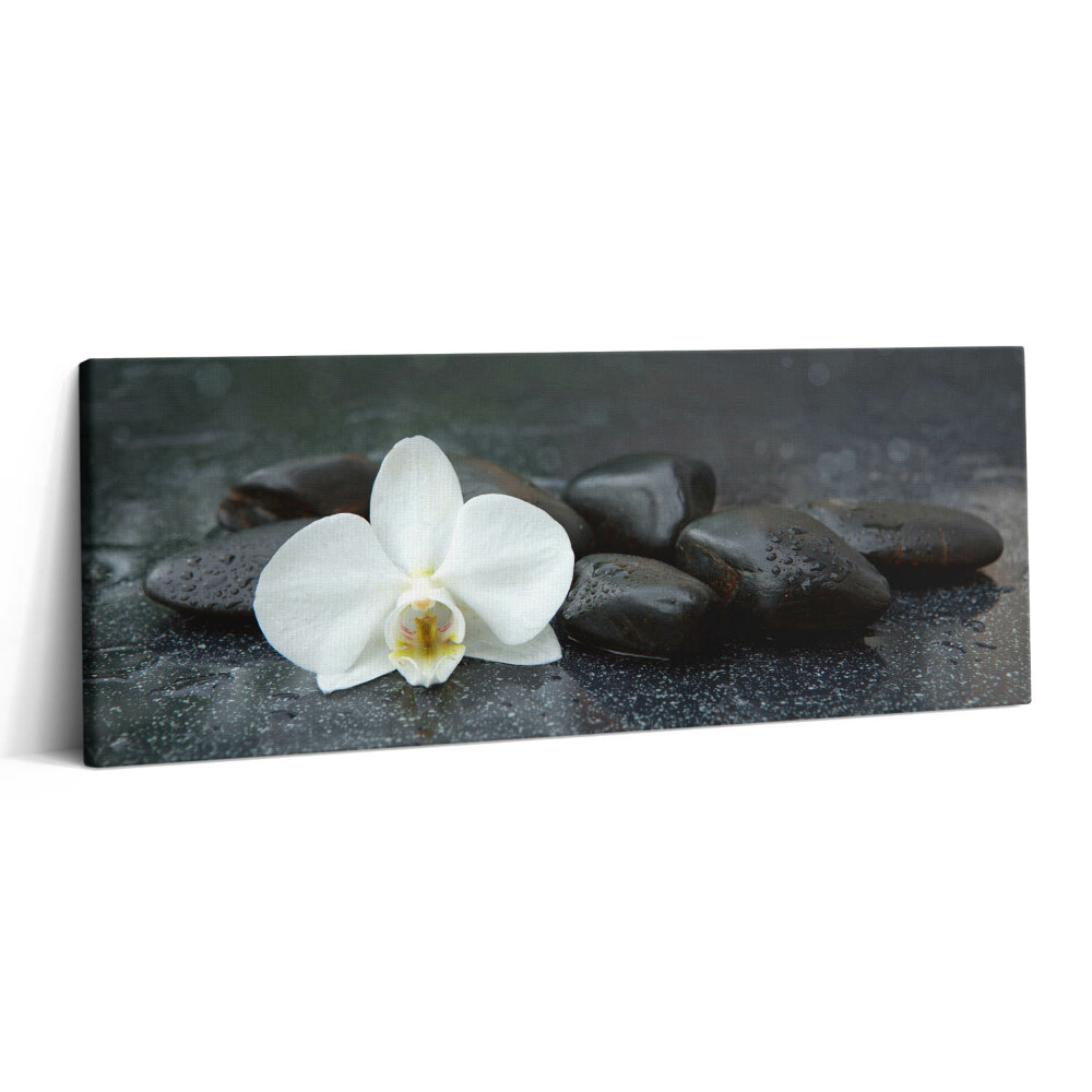Canvas kép 125x50 Zen kövek fehér virágokkal