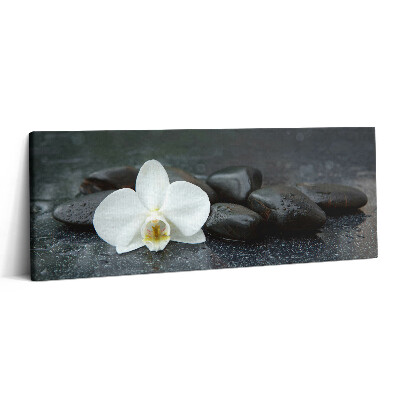 Canvas kép 125x50 Zen kövek fehér virágokkal