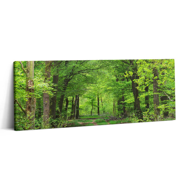 Canvas kép 125x50 Erdei út a fák alatt