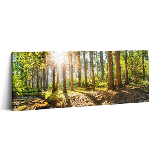 Canvas kép 125x50 Nap a fák mögött az erdőben