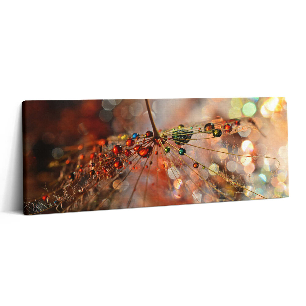 Canvas kép 125x50 Pitypang és harmat