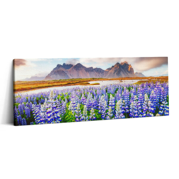 Canvas kép 125x50 Varázslatos csillagfürt virágok