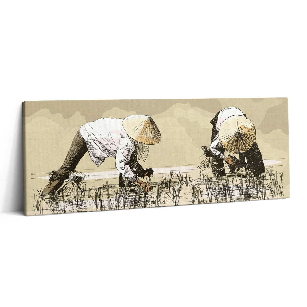 Canvas kép 125x50 Két nő rizst szed Ázsiában