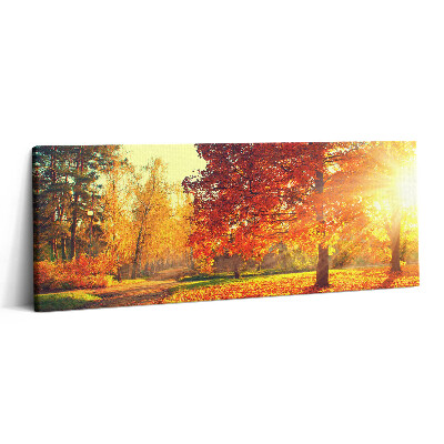 Canvas kép 125x50 Őszi park