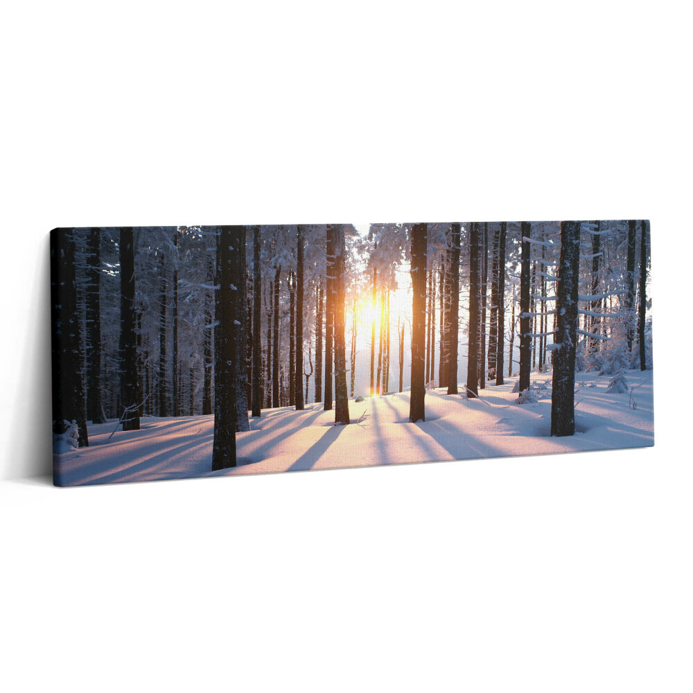Canvas kép 125x50 Naplemente és erdő télen