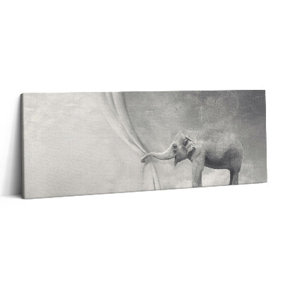 Canvas kép 125x50 Elefánt a függöny mögött