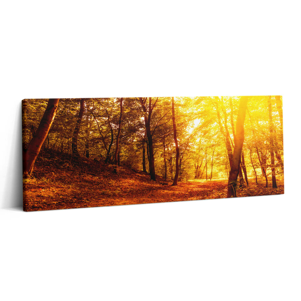 Canvas kép 125x50 Őszi tájkép naplementével