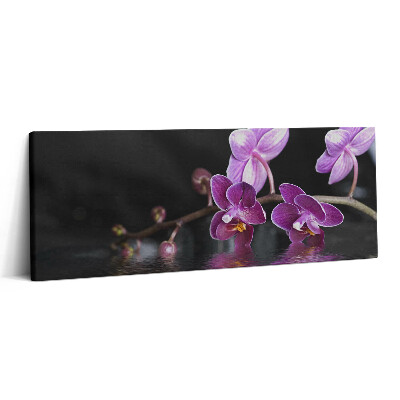 Canvas kép 125x50 Rózsaszín orchidea virág a vízen