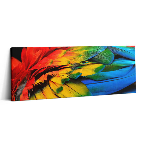Canvas kép 125x50 Egy ara papagáj színes szárnyai