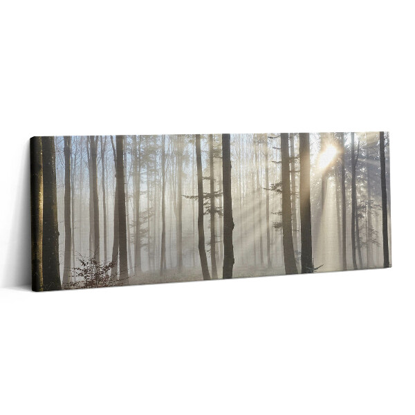 Canvas kép 125x50 Erdő a ködben