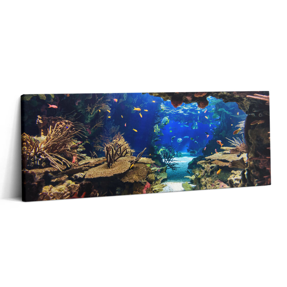 Canvas kép 125x50 Akvárium