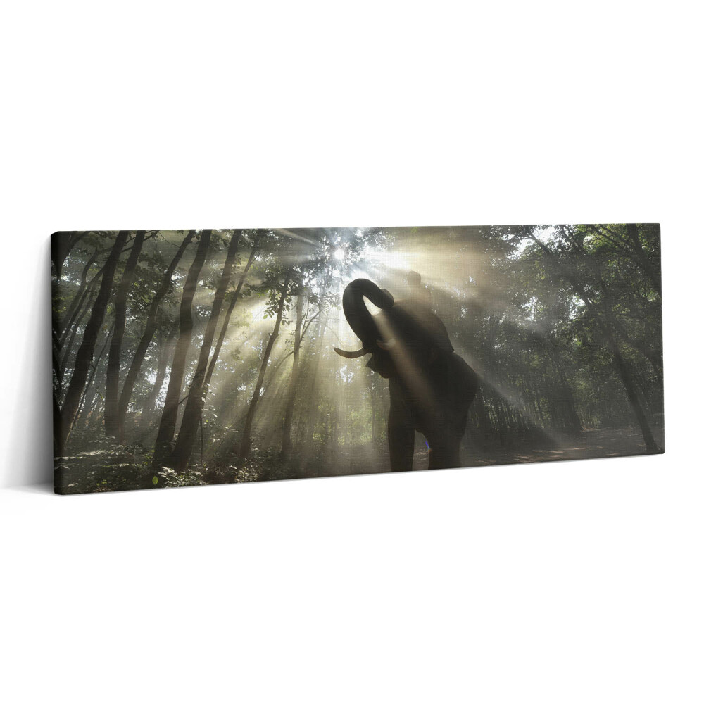 Canvas kép 125x50 Elefánt a dzsungelben