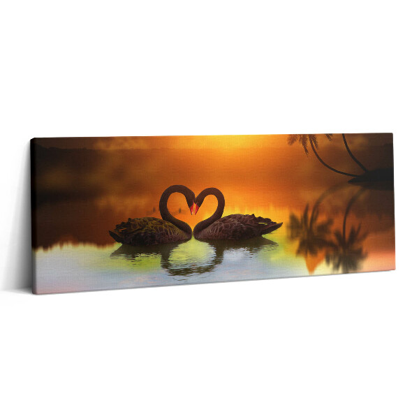 Canvas kép 125x50 Gyönyörű fekete hattyú a tavon