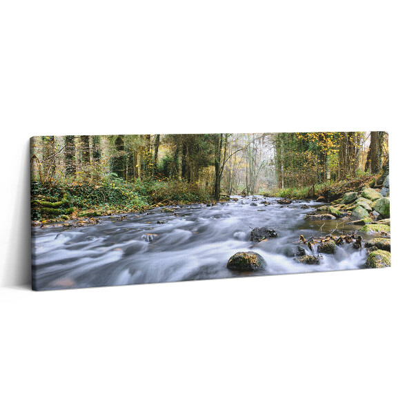 Canvas kép 125x50 Hegyi patak