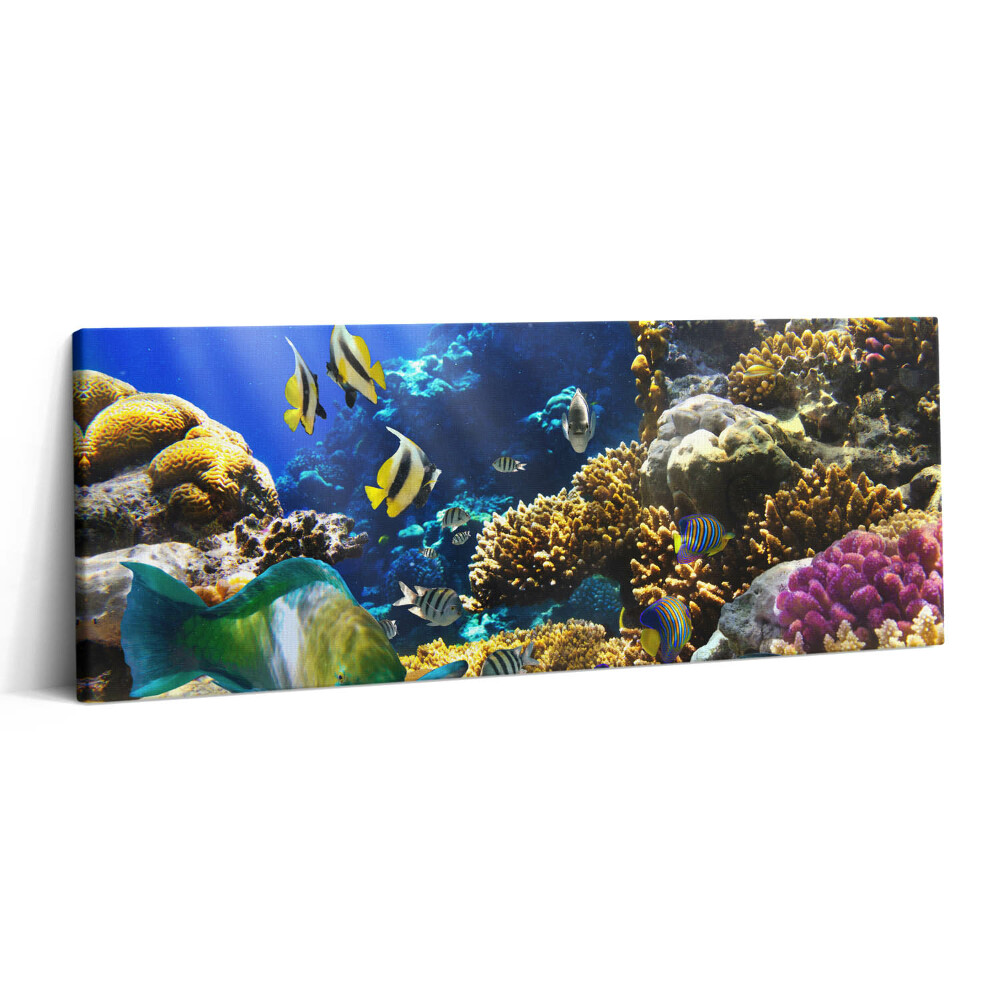 Canvas kép 125x50 Halak képe egy korallzátonyon