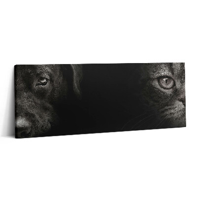Canvas kép 125x50 Labrador kutya és skót macska