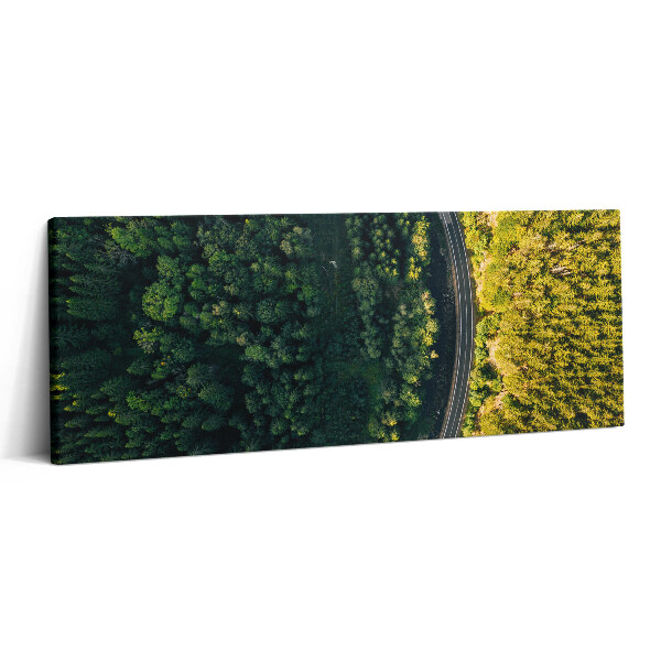 Canvas kép 125x50 Erdő drónról - Hóhegy
