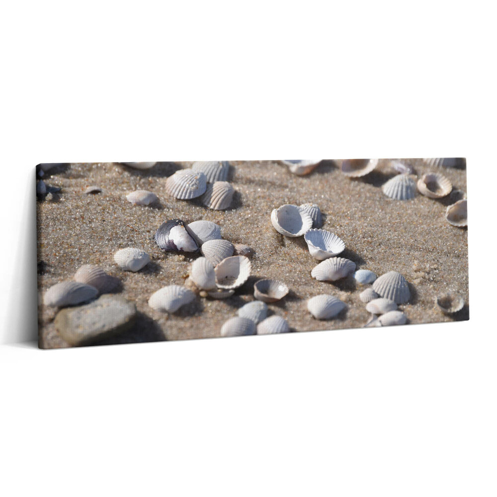 Canvas kép 125x50 Kagylók a tengerparton