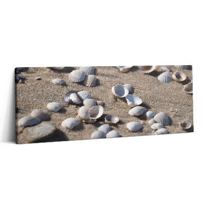 Canvas kép 125x50 Kagylók a tengerparton
