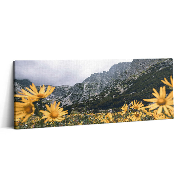 Canvas kép 125x50 Virágos rét a Tátrában