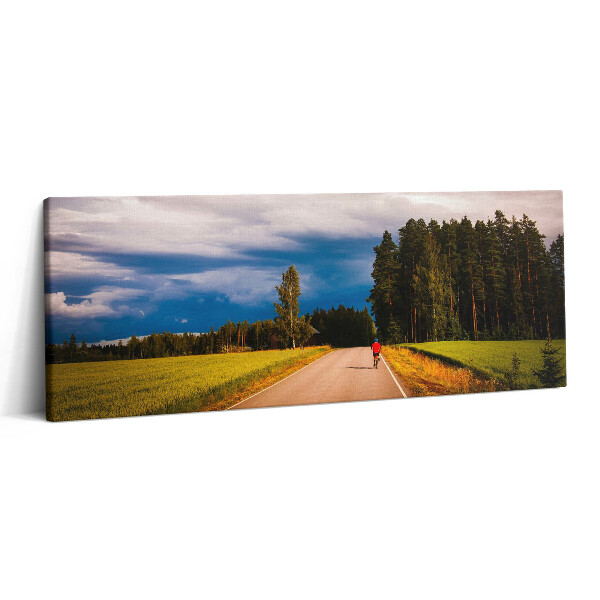 Canvas kép 125x50 Rendezett kerékpárút