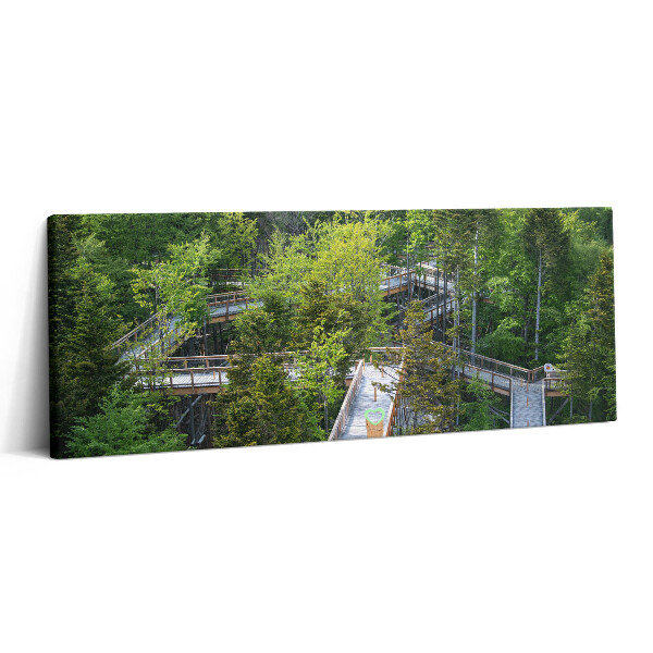 Canvas kép 125x50 Ösvény Krynica Zdrojban