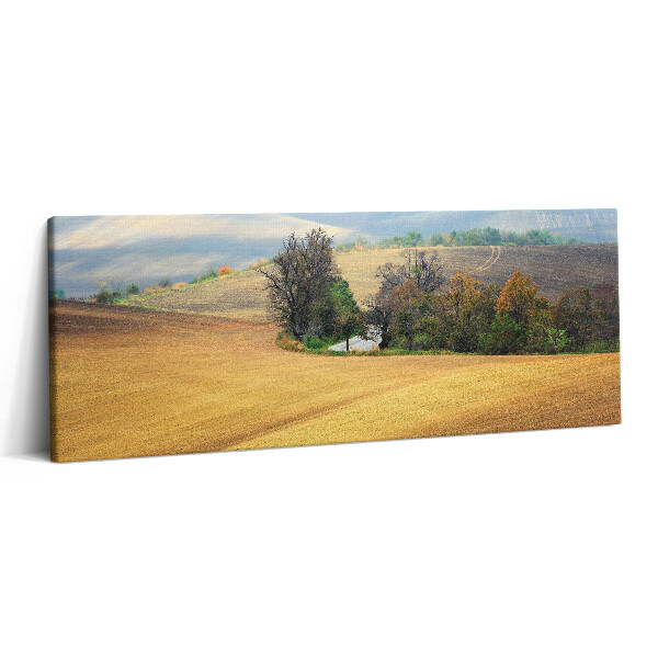 Canvas kép 125x50 Morva vidék