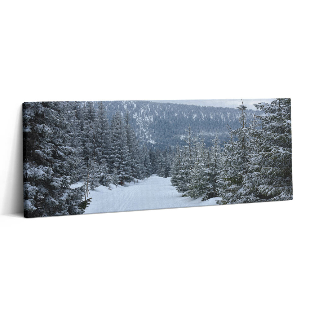 Canvas kép 125x50 Cseh óriás hegyek télen