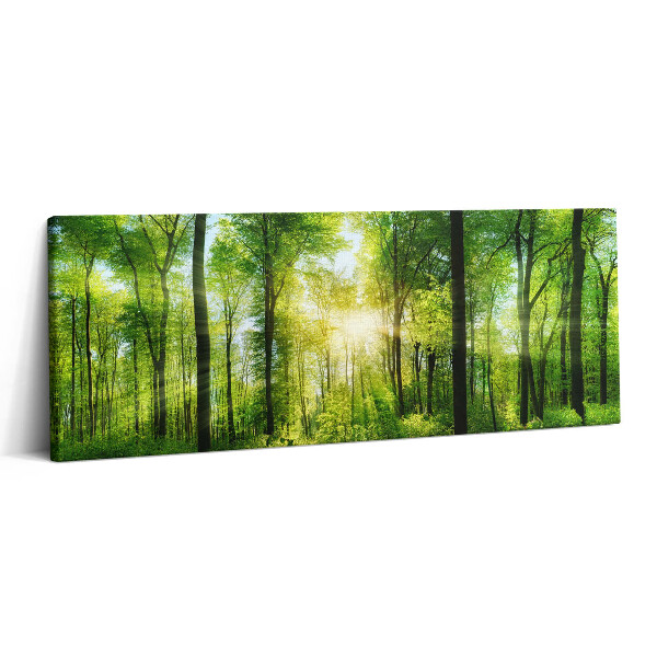 Canvas kép 125x50 Erdei fák természete