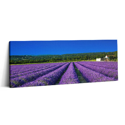 Canvas kép 125x50 Levendulamező Provence-ban