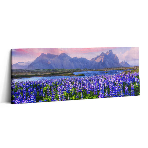 Canvas kép 125x50 Levendulamezők - Izland