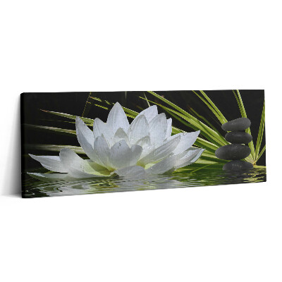 Canvas kép 125x50 Tavirózsa és levelek