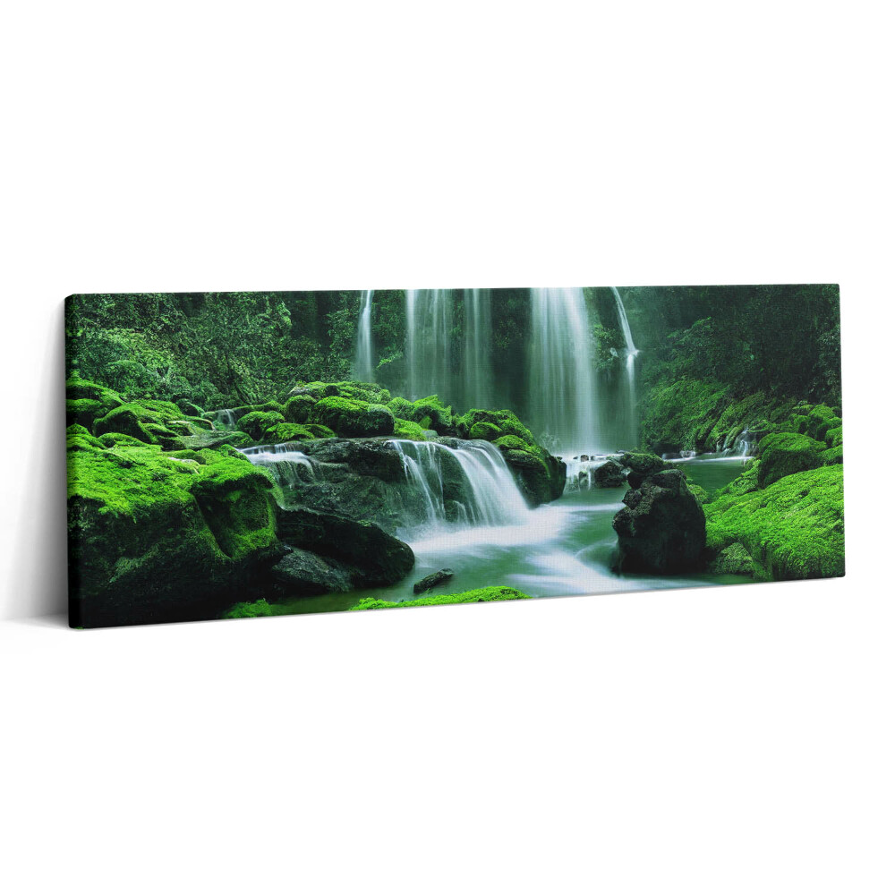 Canvas kép 125x50 Vízesés mohák között
