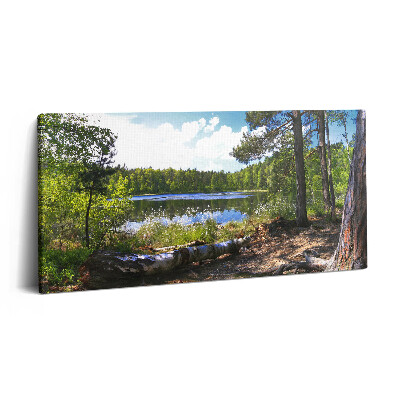 Vászonkép 140x70 Egy erdei tó látványa