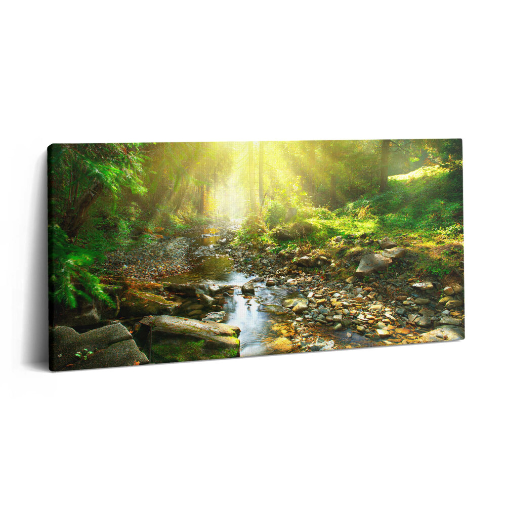 Vászonkép 140x70 Erdei patak a napfényben