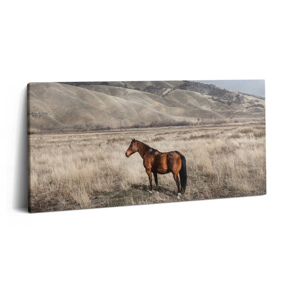 Vászonkép 140x70 Ménes a fű között