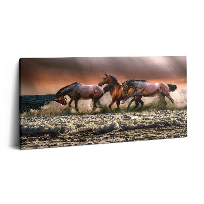Vászonkép 140x70 Vízbe bukott lovak