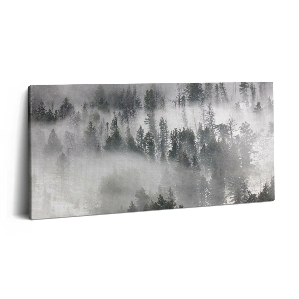 Vászonkép 140x70 Ködös erdei táj