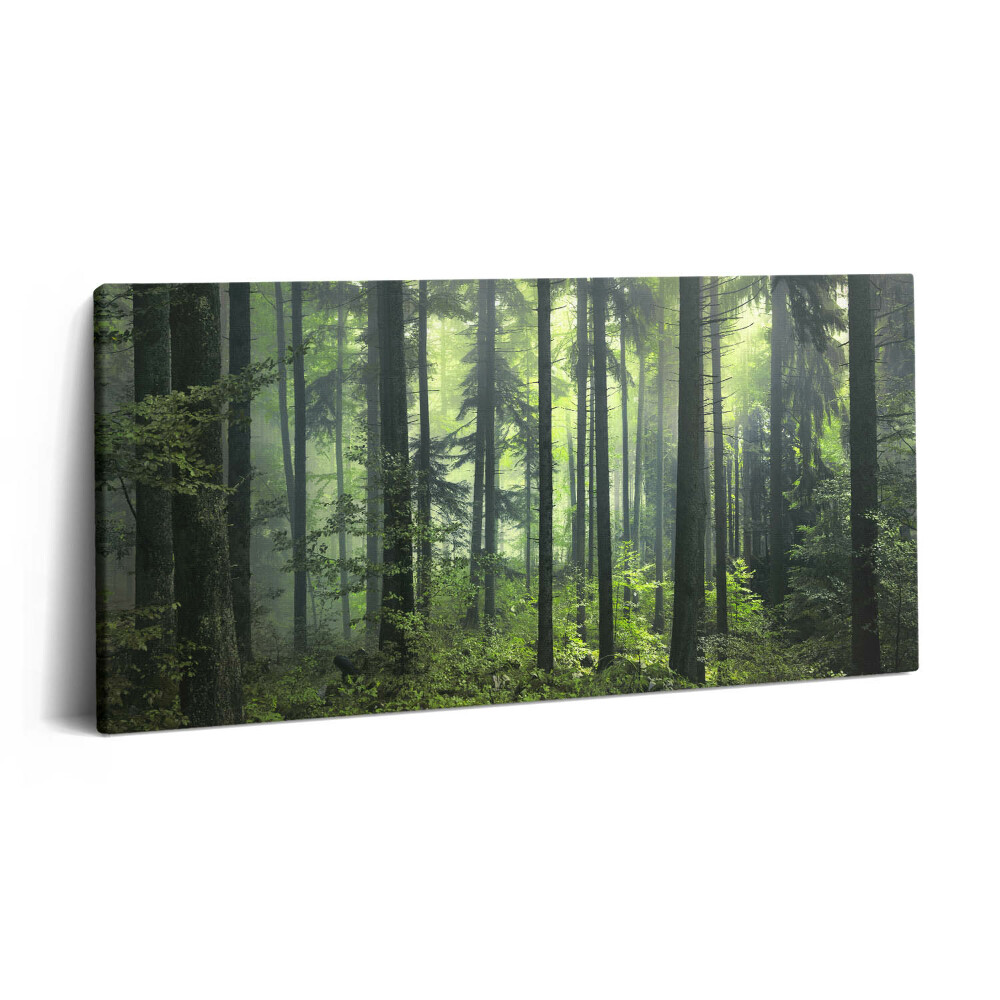 Vászonkép 140x70 Fákból és erdei növényzetből álló tájkép