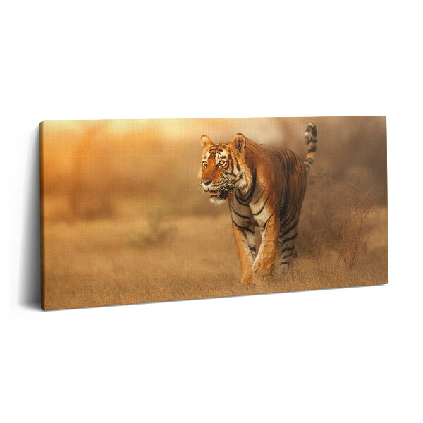 Vászonkép 140x70 Vad tigris vadászaton