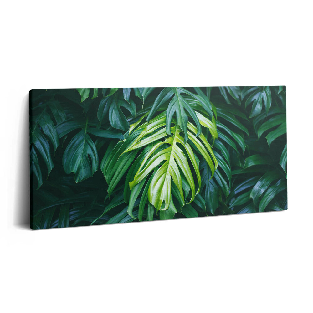 Vászonkép 140x70 Trópusi természet - monstera levelek