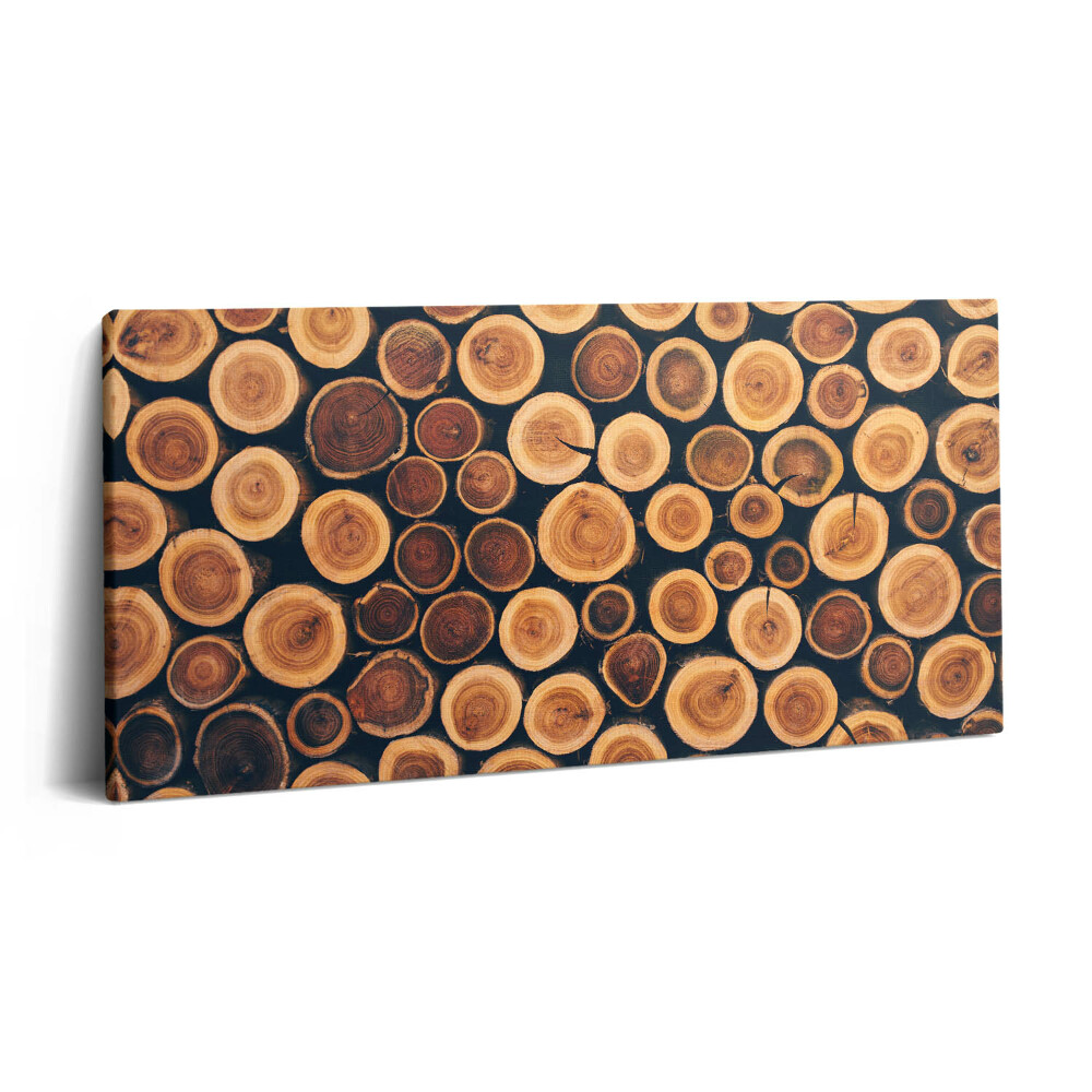 Vászonkép 140x70 Fa fatörzsek