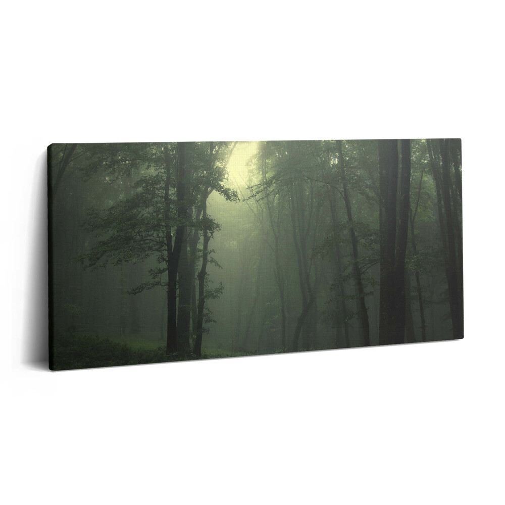 Vászonkép 140x70 Ködös erdő reggel