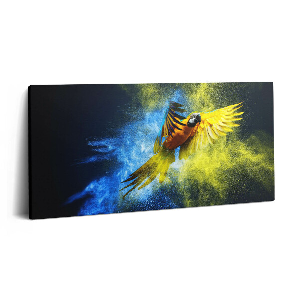 Vászonkép 140x70 Színes papagáj
