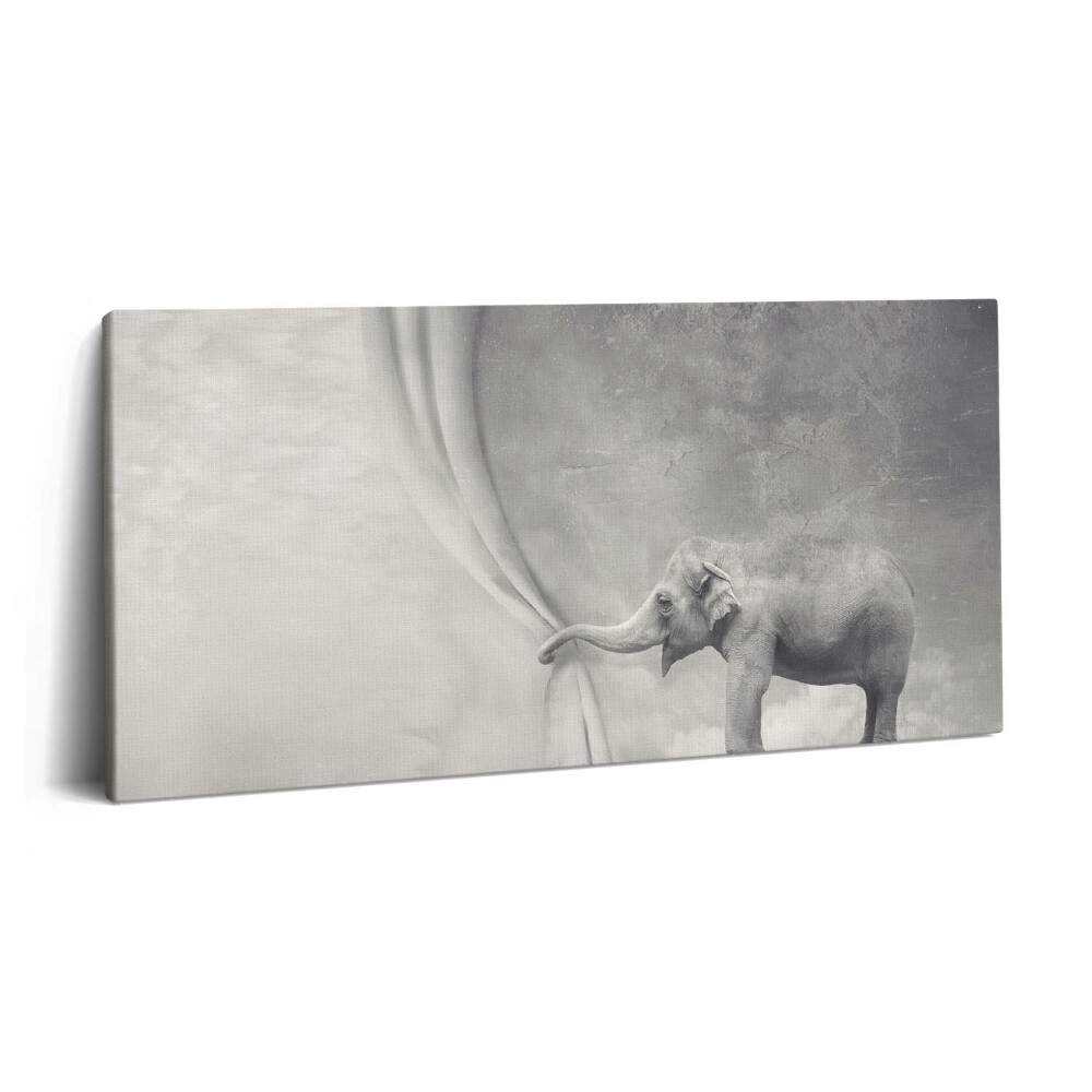 Vászonkép 140x70 Elefánt a függöny mögött