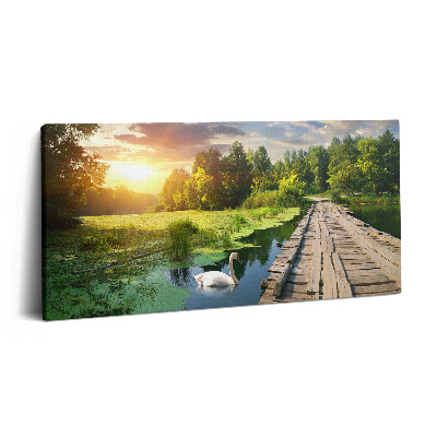 Vászonkép 140x70 Hattyú naplementében