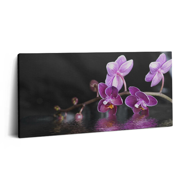 Vászonkép 140x70 Rózsaszín orchidea virág a vízen