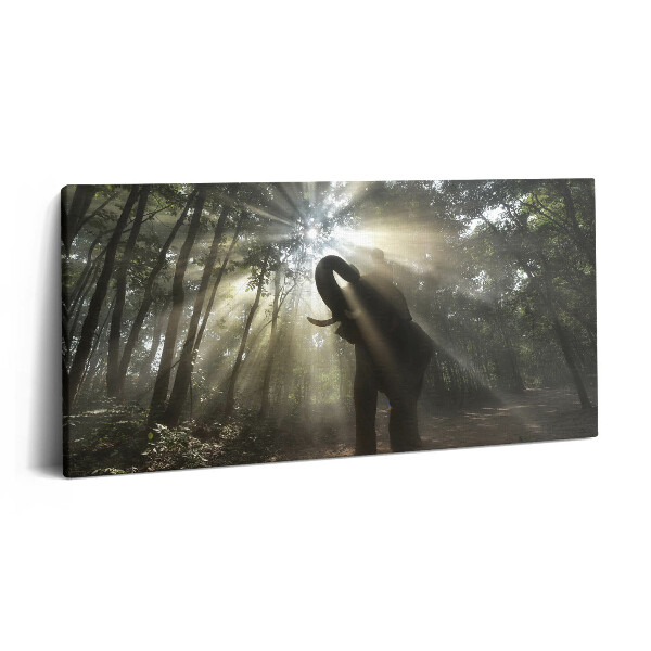 Vászonkép 140x70 Elefánt a dzsungelben